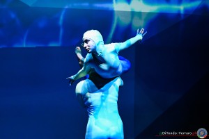 fgi divise freddy lanterna ph di tondo   ferraro 2521